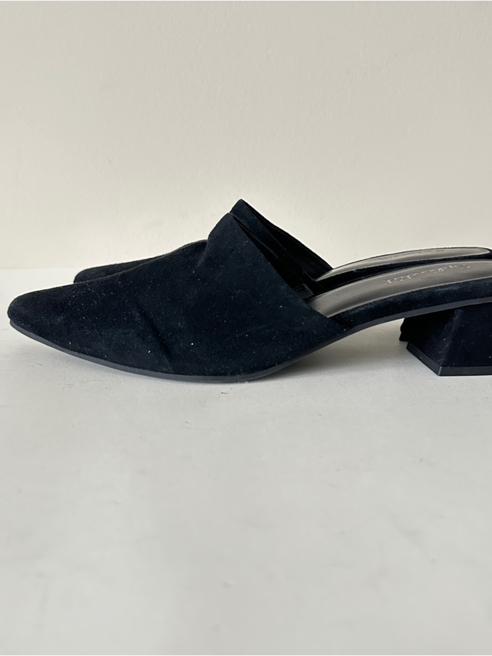 NEW Splendid Lorelei Black Suede Women's Pointed Mule Block Heels, Sz 8